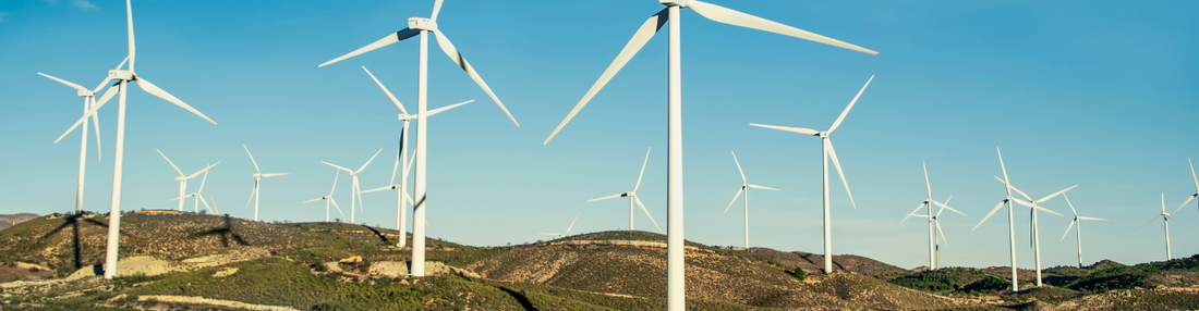 Baker's Gas Wind Turbines
