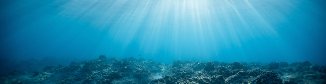 Baker's Gas Underwater