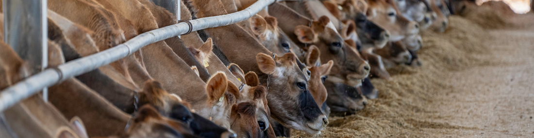 Baker's Gas Livestock