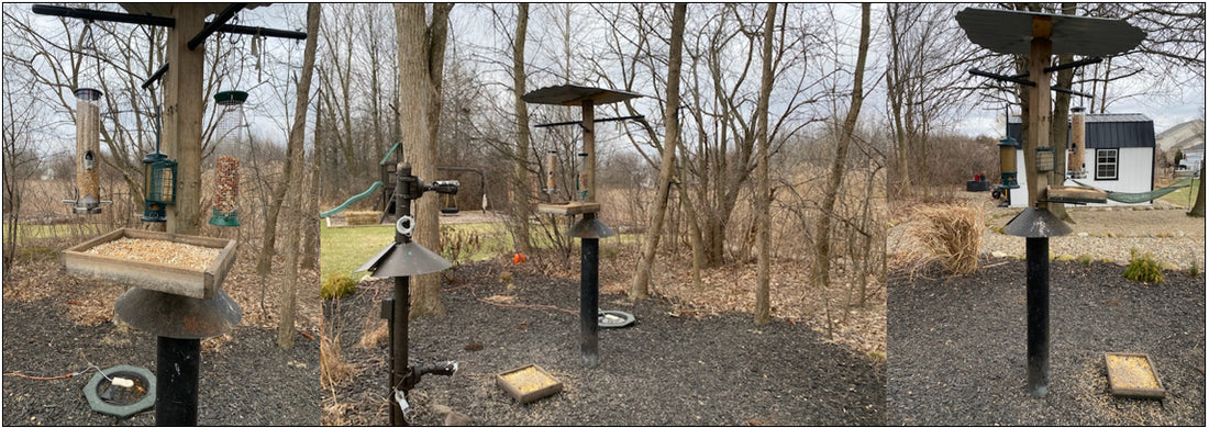 6 Welding Projects for the Birds This Spring