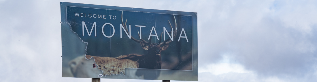 Montana state sign